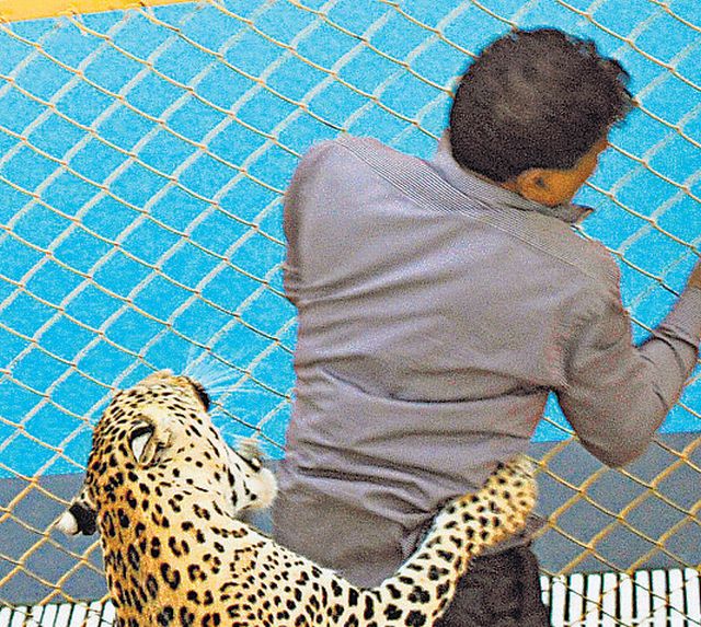 Okulu leopar bastı, önüne gelene saldırdı! 6 yaralı var