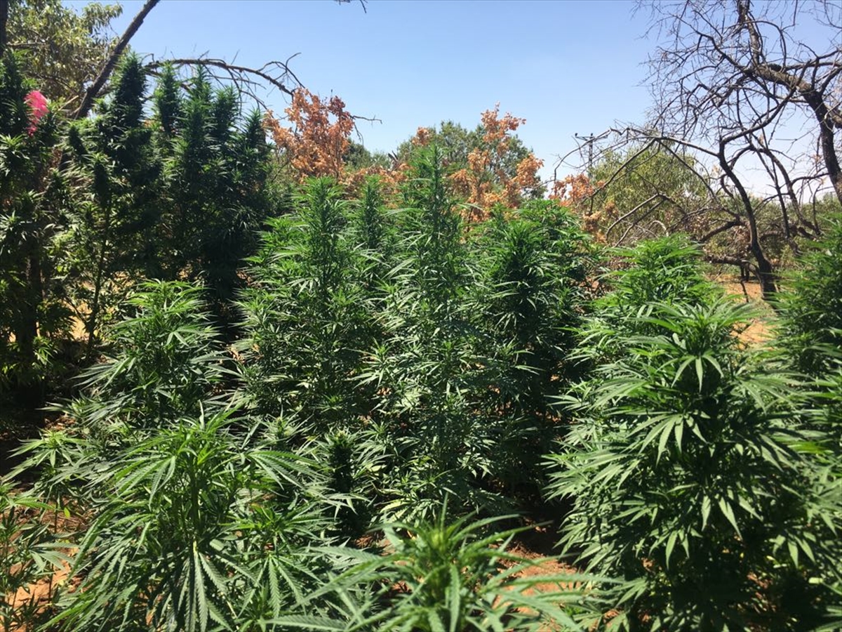 Diyarbakır'da PKK'ya ağır darbe