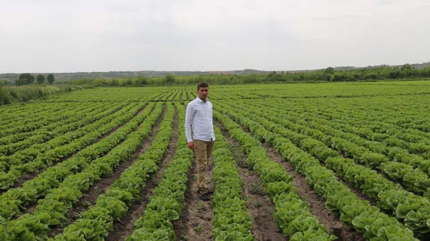'Geceleri bahçelere gidip gizlice diktik'