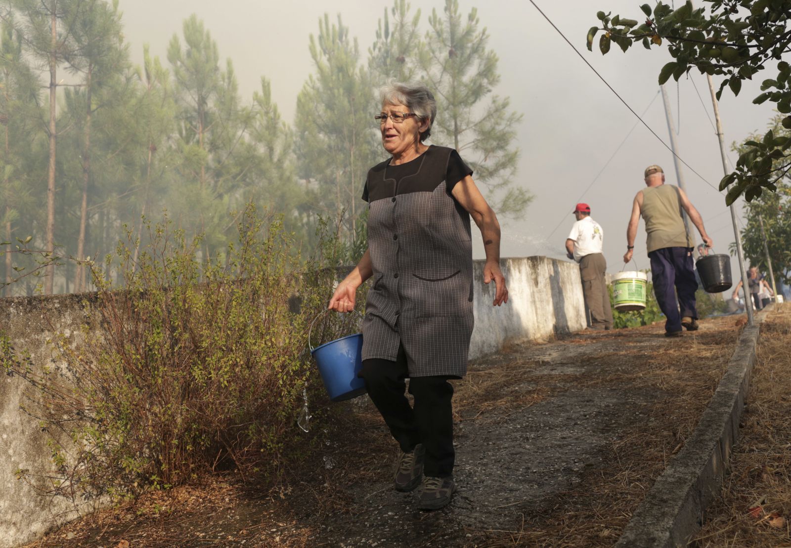 Portekiz'de yangınlar nedeniyle afet durumu ilan edildi