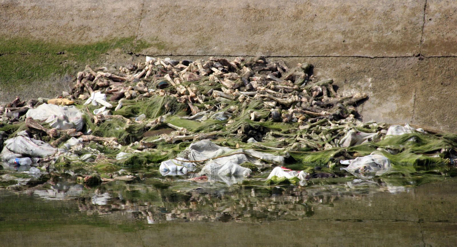 Kayıp çocuğu aradıkları sulama kanalında kesik at parçaları buldular