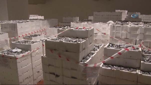 Bu balıklara dokunan ağır cezada yargılanacak!