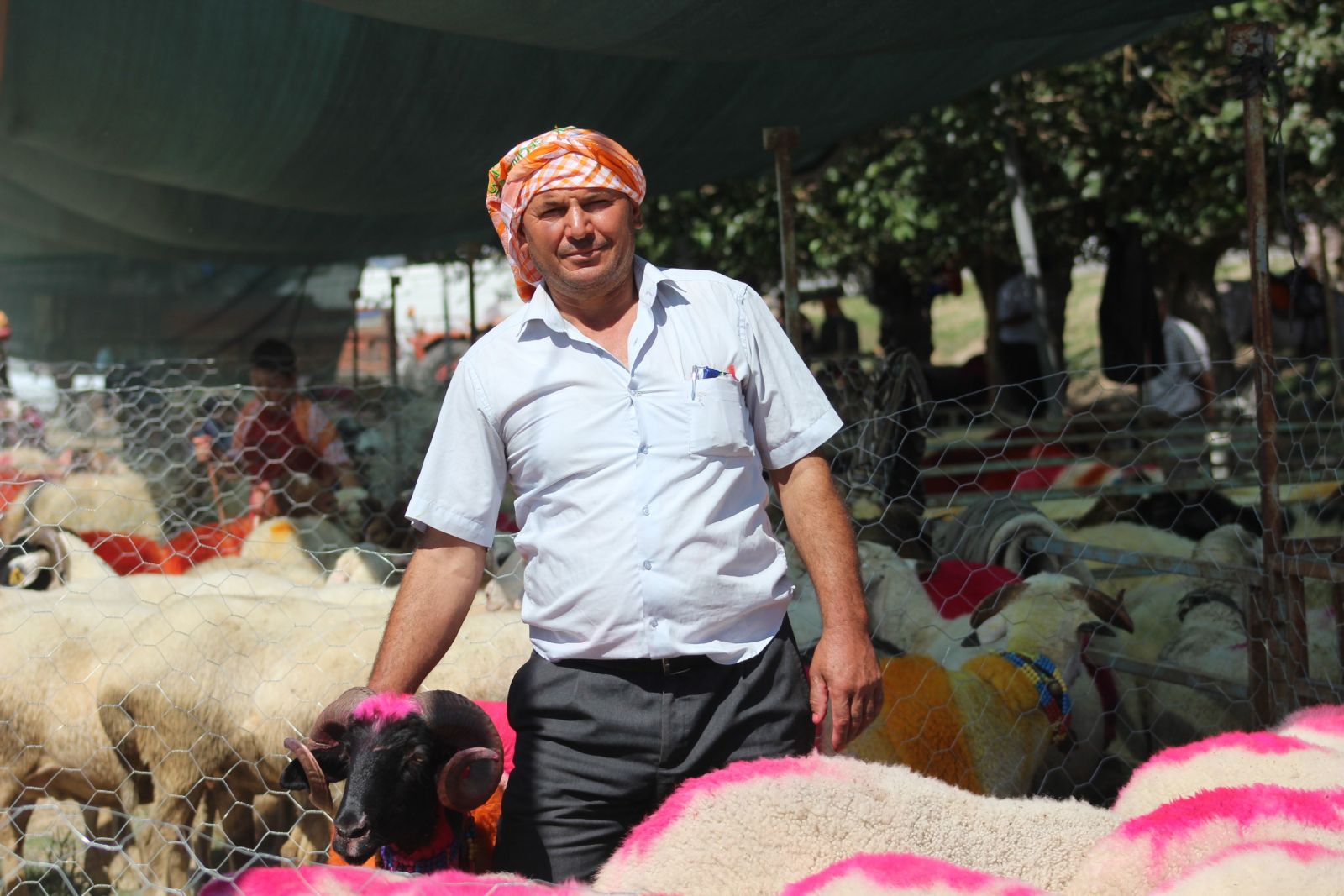 UNESCO onaylı yarış, şehit Eren Bülbül için yapıldı