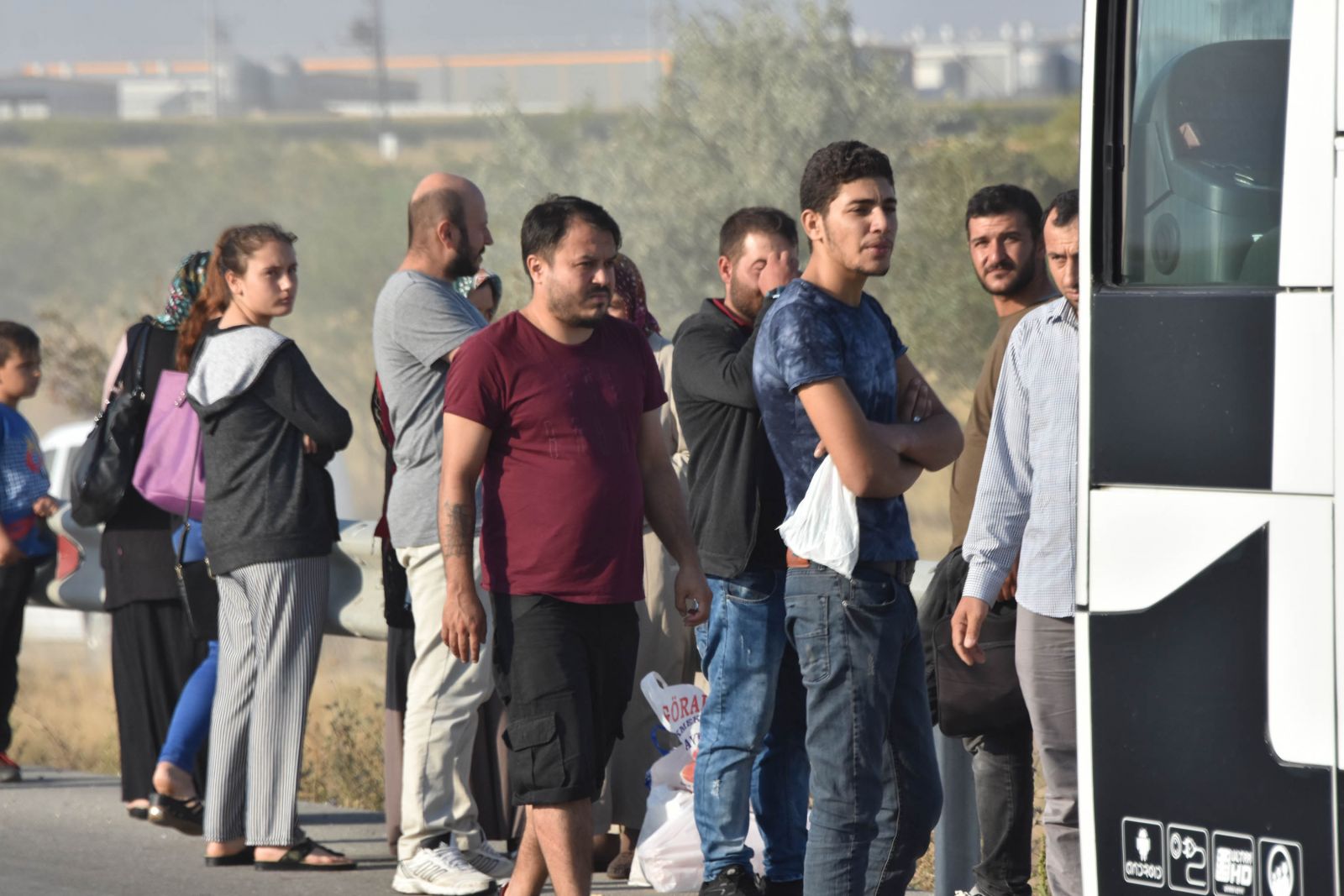 Konya'da feci kaza: 3 kurbanlık telef oldu, 6 yaralı var
