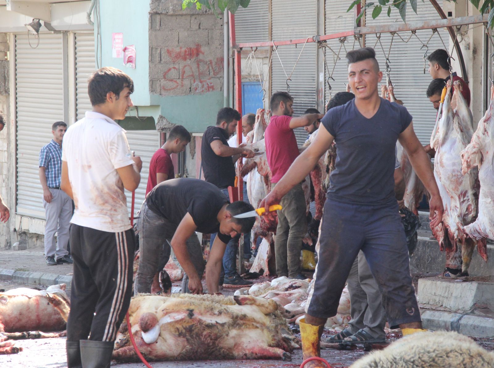 Bayram namazını kılan İstanbullular kurban kesim merkezlerine akın etti