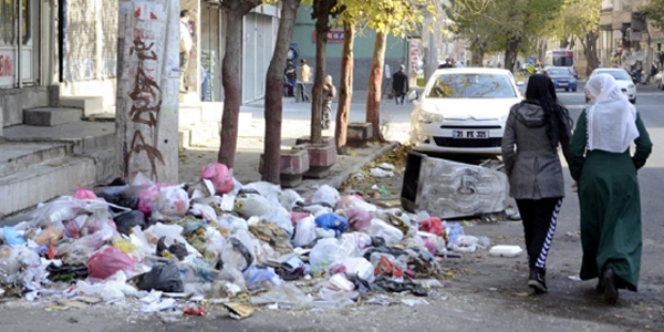 Sur'u korku sardı! Yılan, akrep, fare...