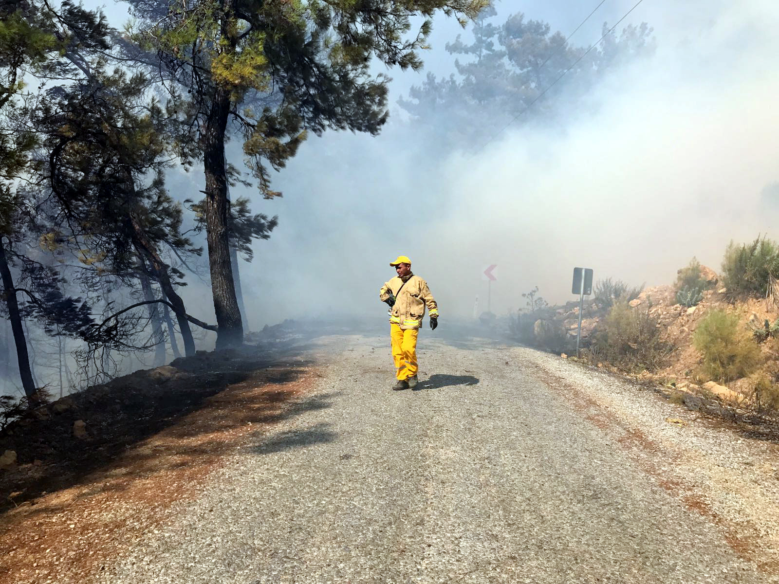 Muğla'da çıkan yangın rüzgarın etkisiyle büyüyor