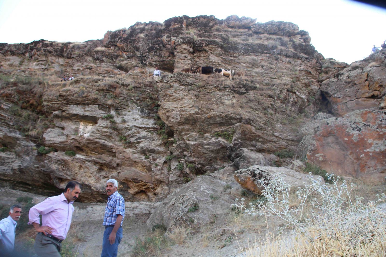 Muş'ta görenleri şaşkına çeviren manzara!