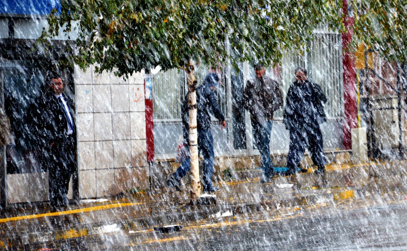 Ardahan'a kar yağdı, her yer beyaza büründü