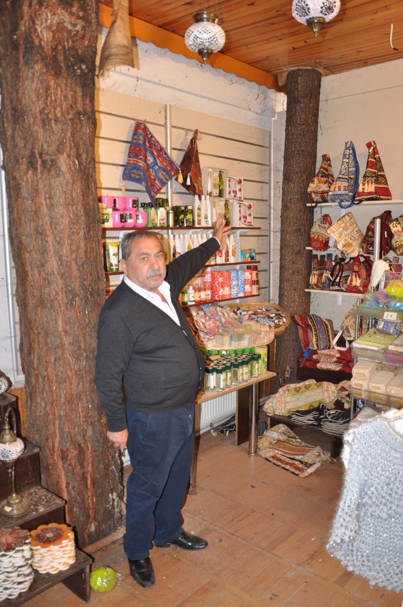 Ağaçları binanın içinde bıraktı