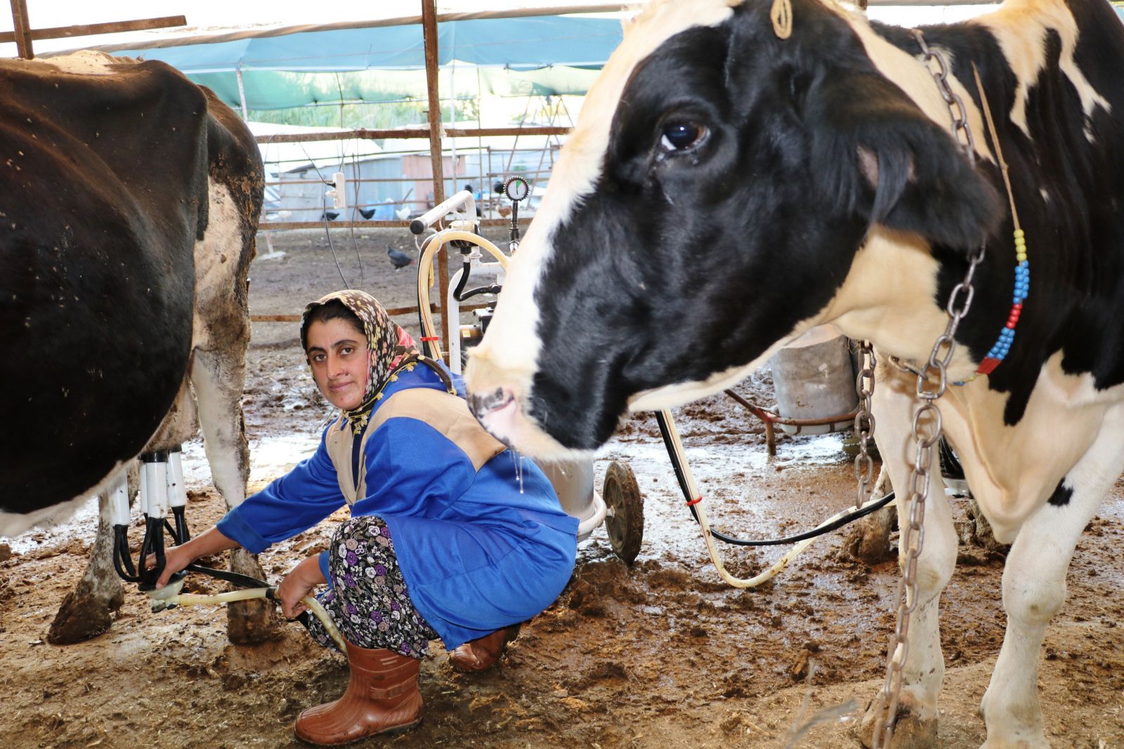 4 bilezikle girdiği işten, 1 milyonun üzerinde servet sahibi oldu