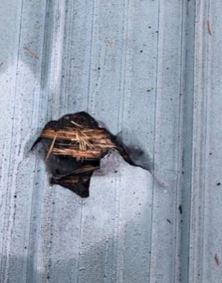 Uyurken kafasının yanına meteorit düştü!