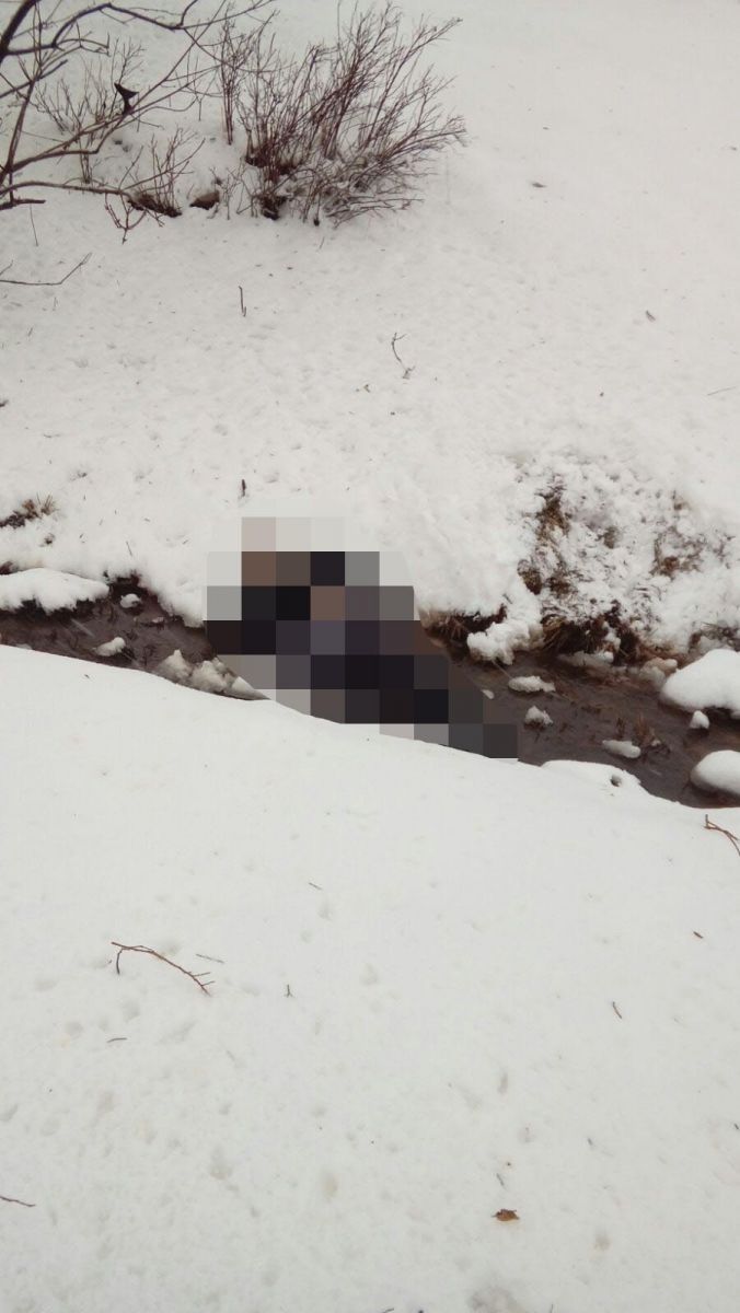 Muş'ta yolcu otobüsü dereye uçtu: 6 ölü, 29 yaralı