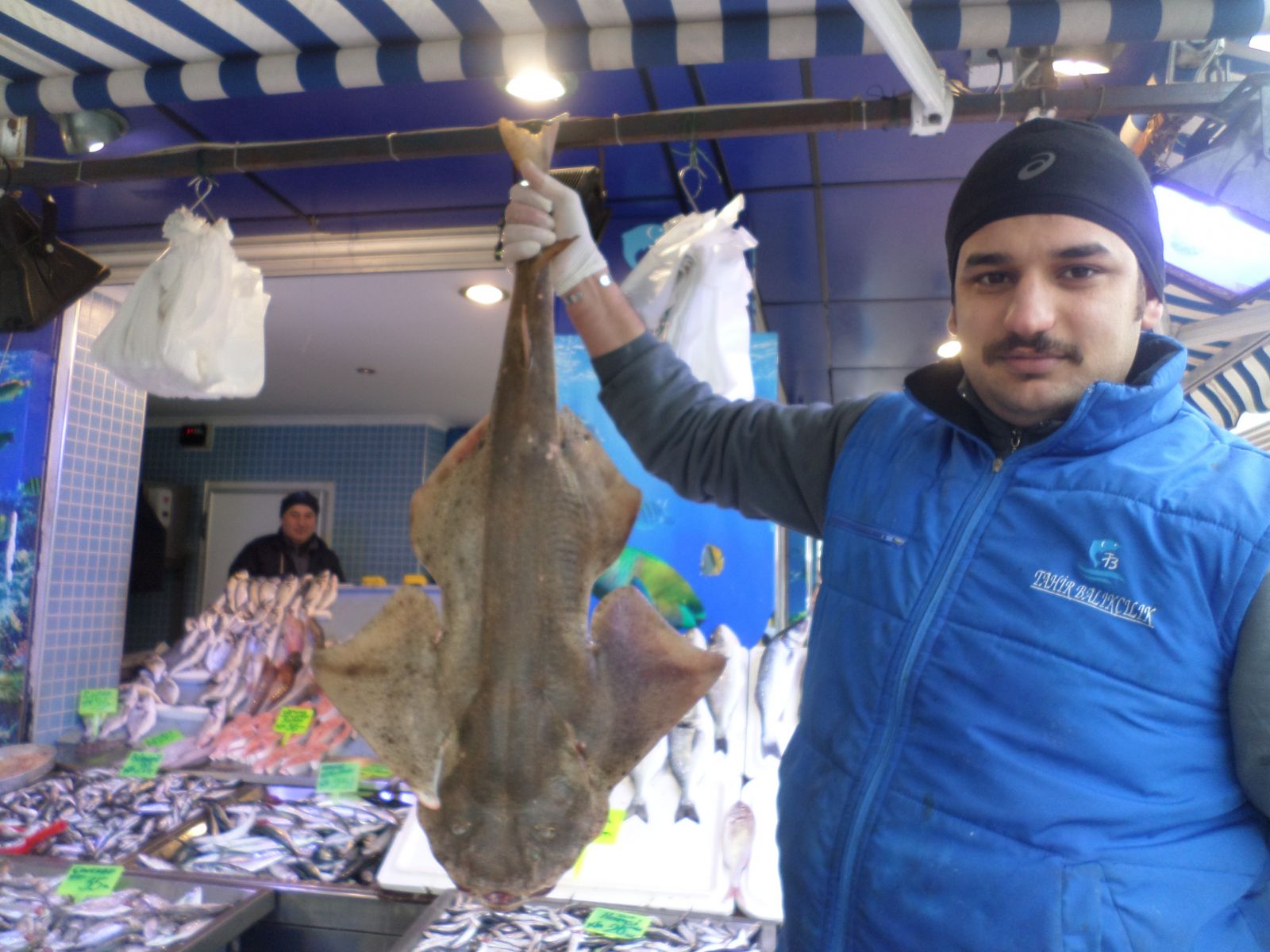 Marmara Denizi’nde köpekbalığı yakalandı