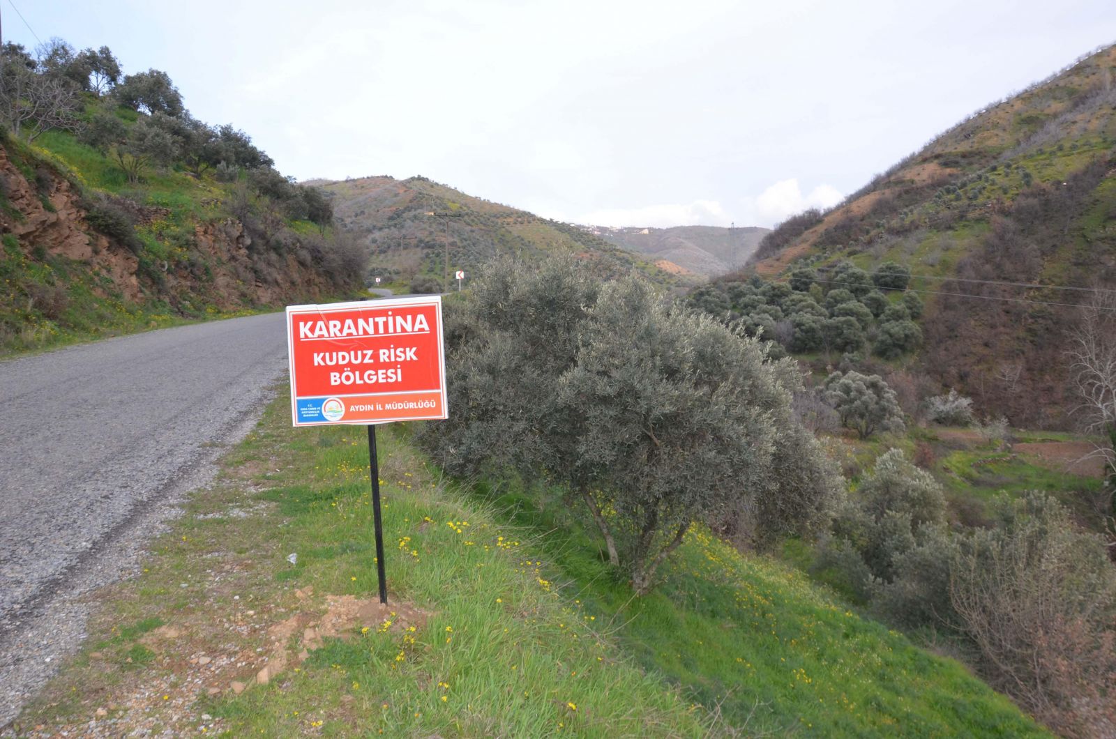 Aydın'da kuduz alarmı!