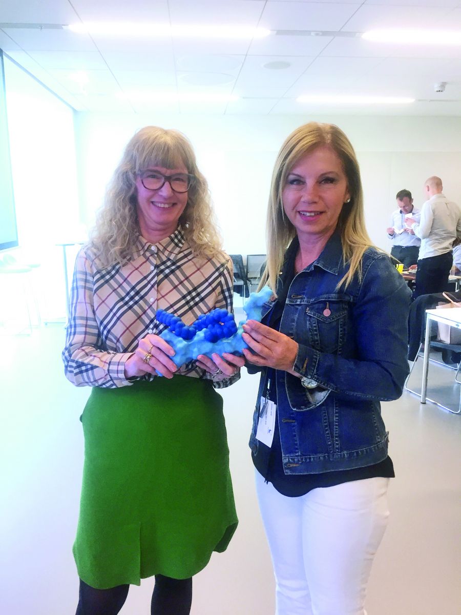 Diyabet hapıyla obeziteye çare