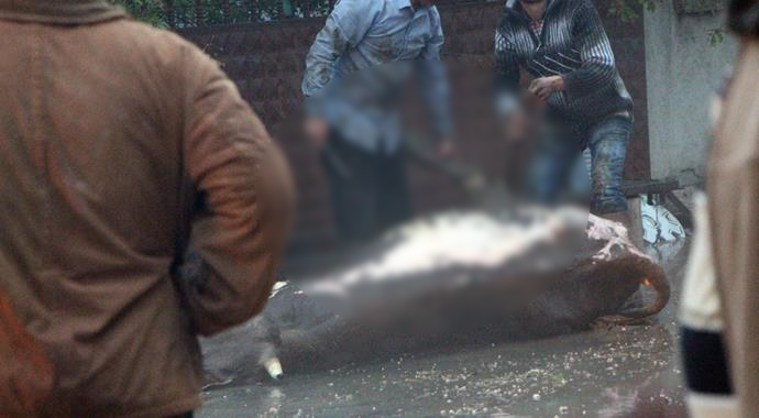 Bolu'da korkutan yangın