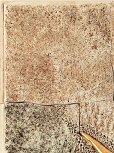 Bütün güzellik toprakta saklı