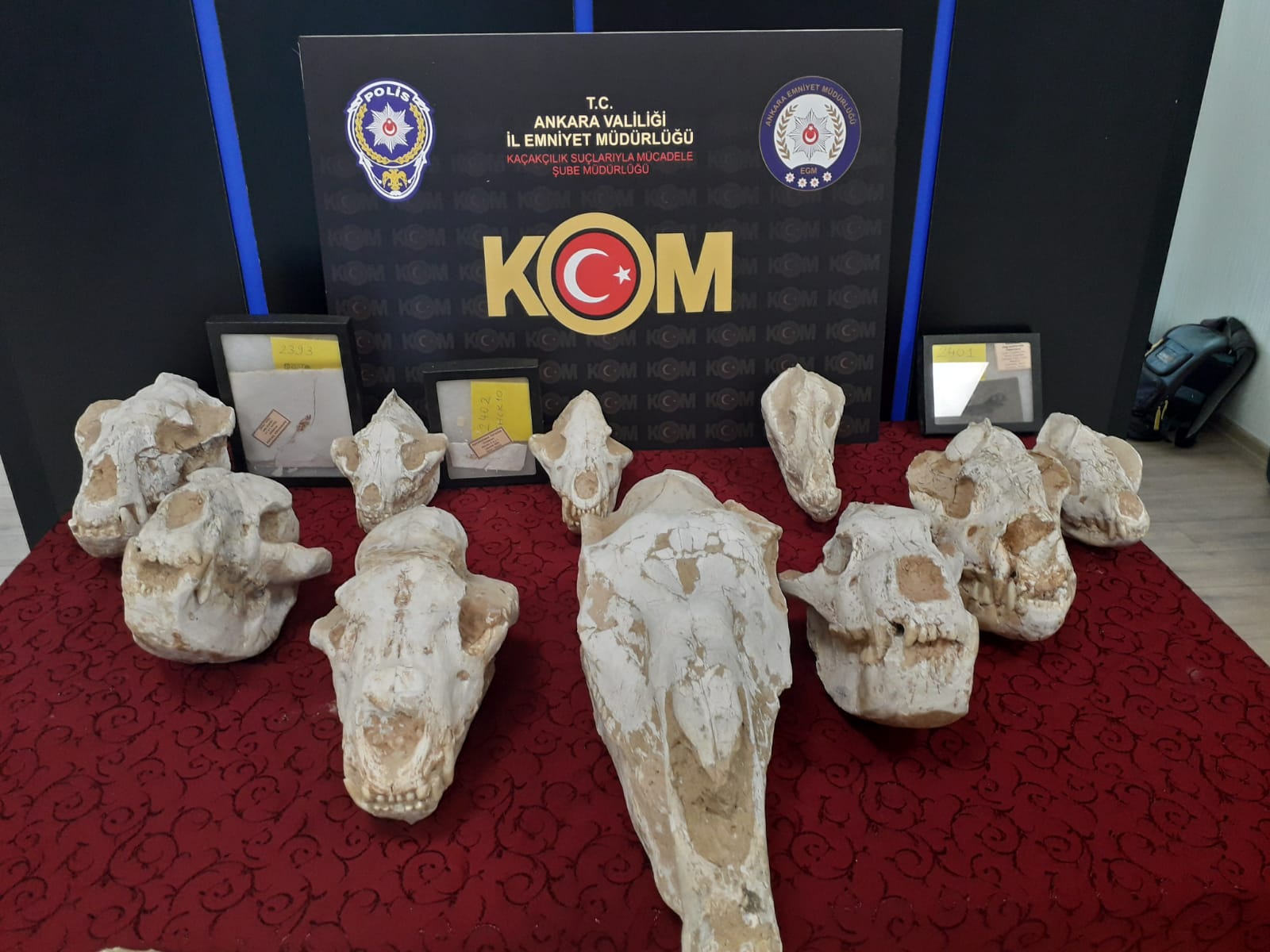 Adnan Oktar'ın villasından kafatası çıktı!