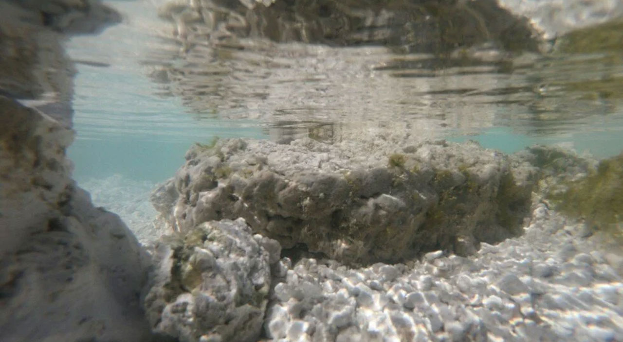 NASA: Salda Gölü’yle Mars'ı anlayacağız