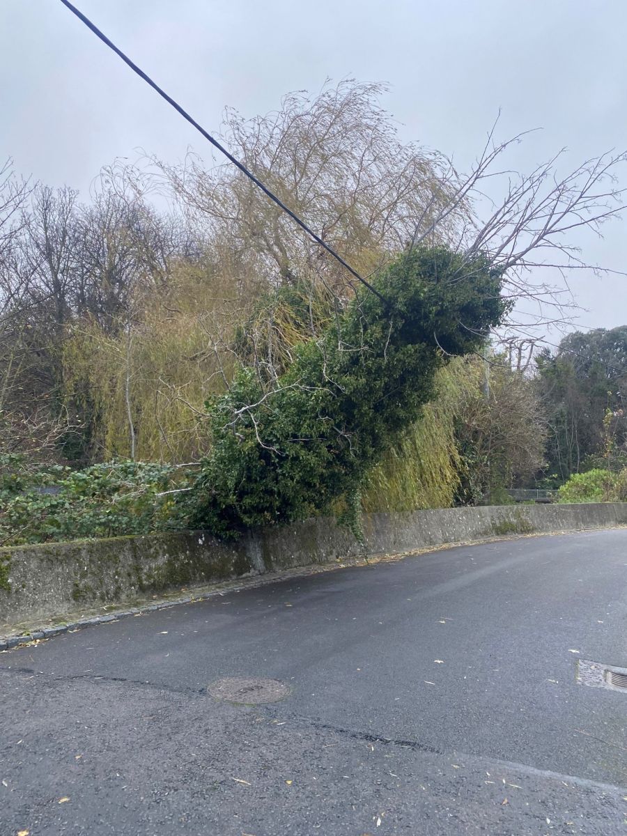 İrlanda’yı Fırtına vurdu! 200 binden fazla ev ve işyeri elektriksiz kaldı