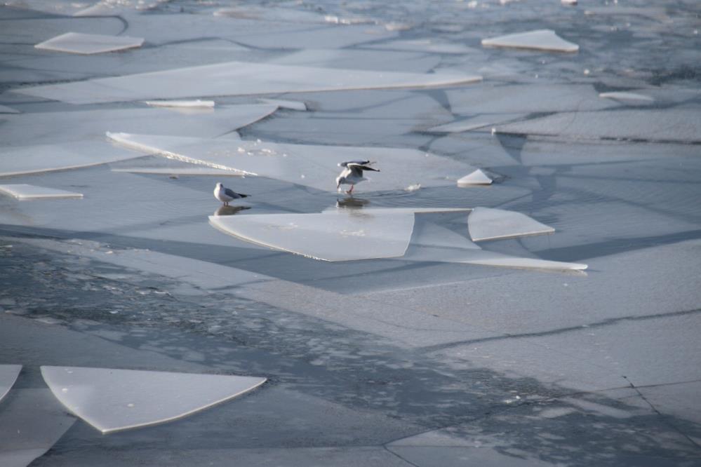 Hava eksi 16 dereceyi gördü, göl dondu