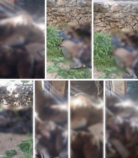 Şemsiyeyle kaçmaya çalışan 12 terörist öldürüldü