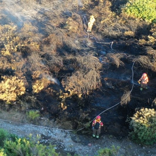 Şili’de orman yangınları kontrol altına alınamıyor