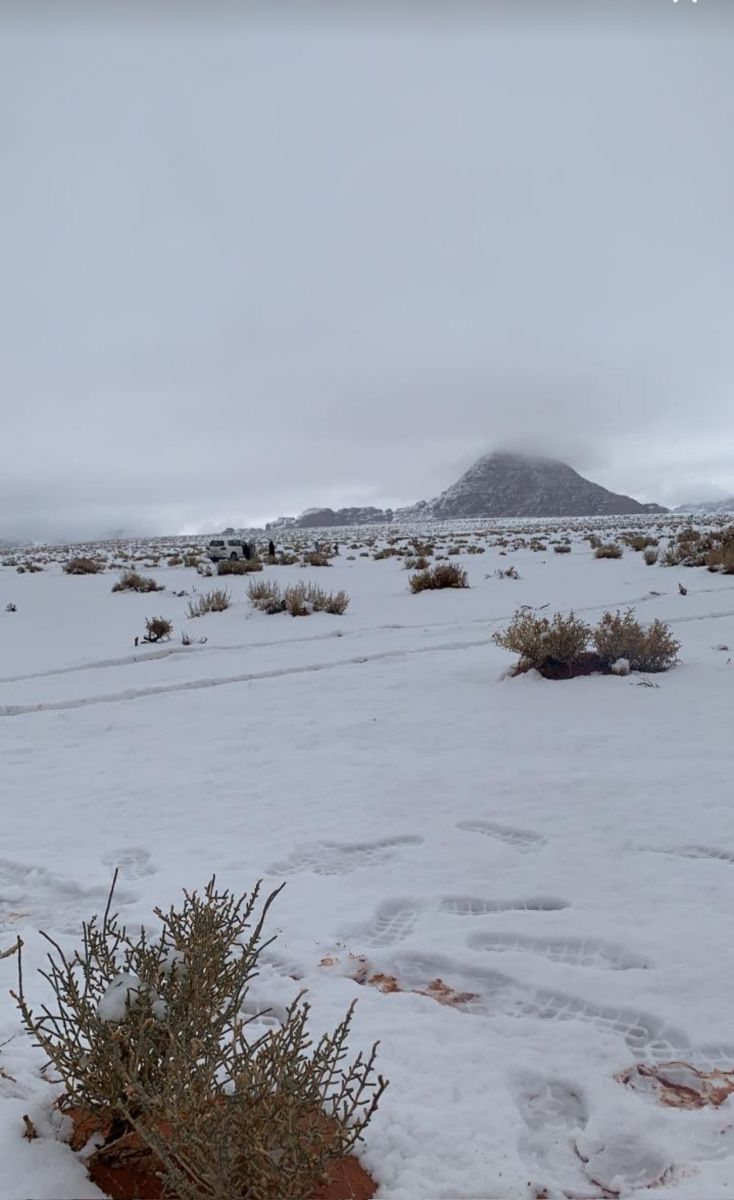 Suudi Arabistan’da kar sevinci