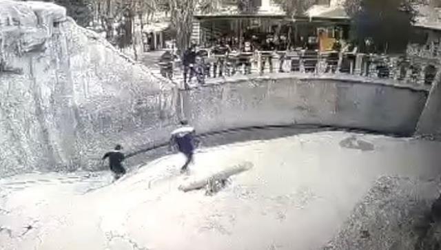 Hayvanat bahçesinde akıl almaz olay! 3 yaşındaki kızını ayının önüne attı