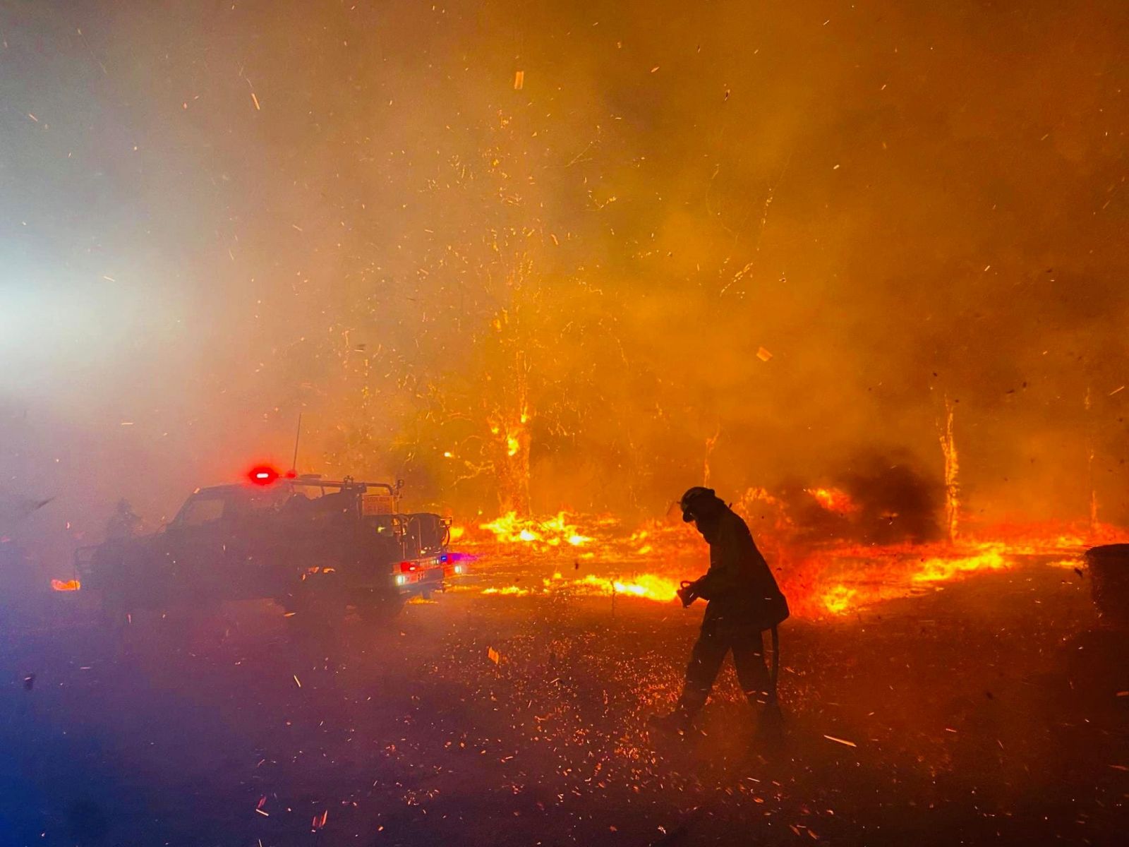 Avustralya’da orman yangını: 60 bin hektar alan küle döndü