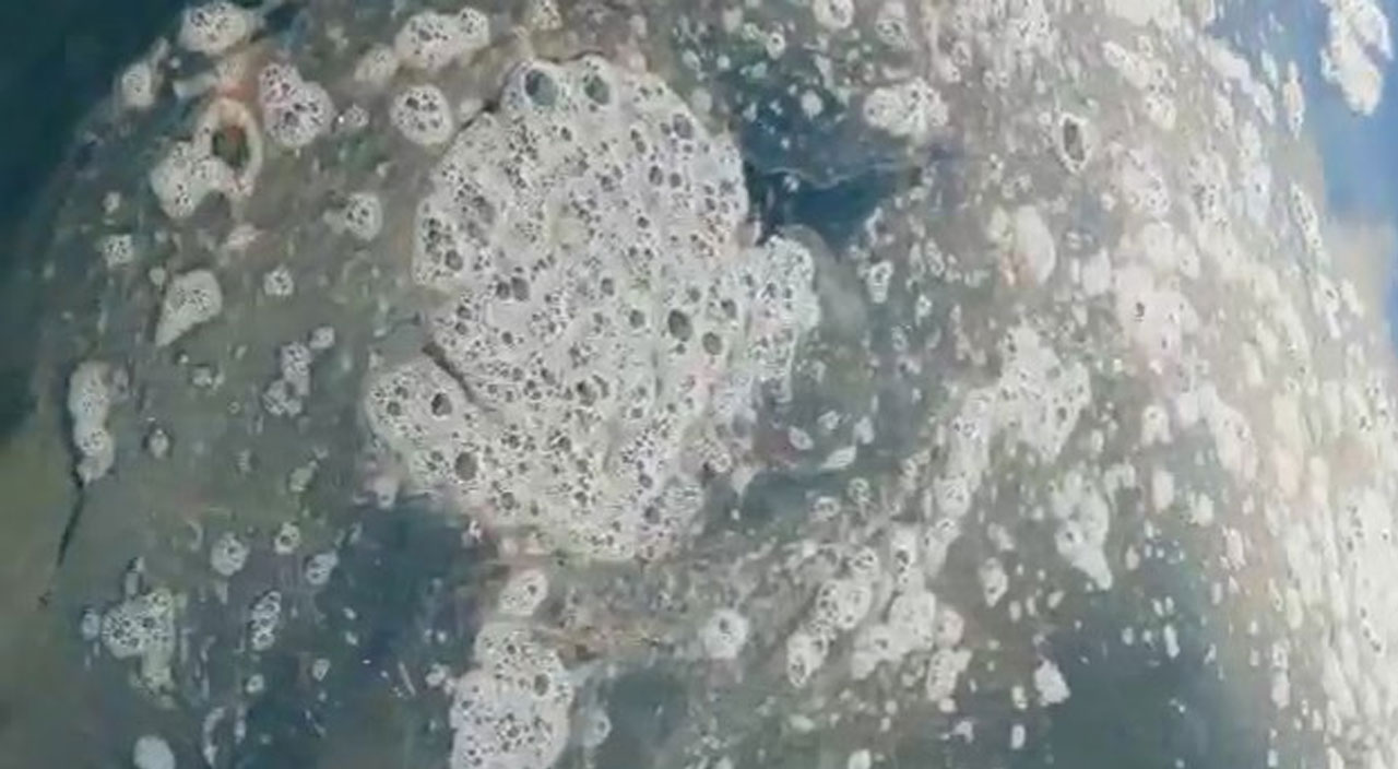 Müsilaj kabusu geri döndü