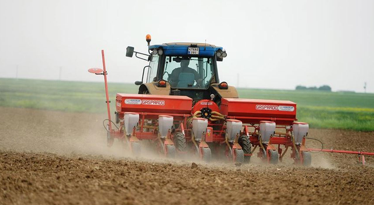 Ucuz gıdada yeni hamle: Kent tarımı! Bakan Kirişci detayları anlattı