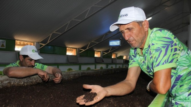 Karın tokluğuna çalışıp iyi para kazandırıyorlar