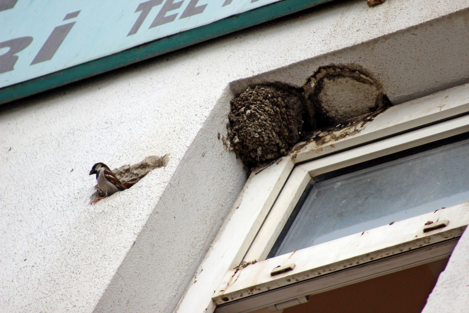 Yıkım ekibi bu manzara karşısında her şeyden vazgeçti!