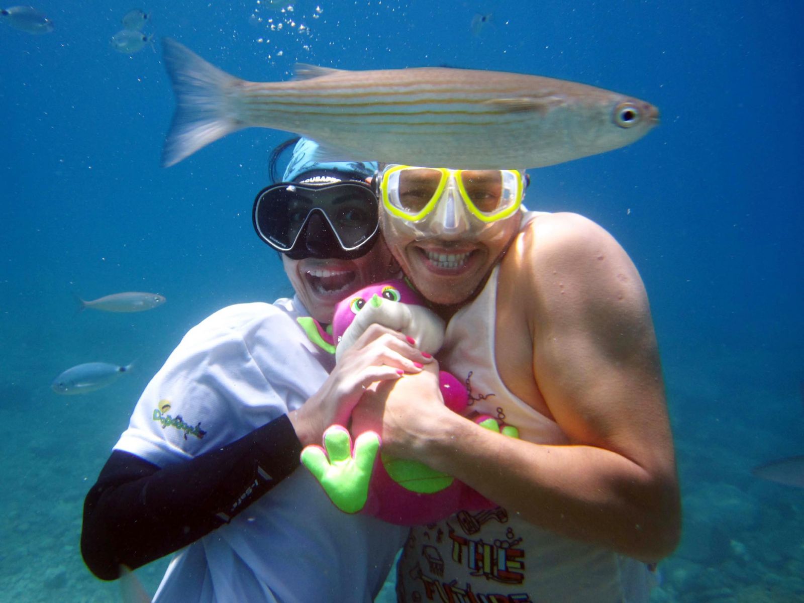 Yatak odalarını denizin dibine taşıdılar!