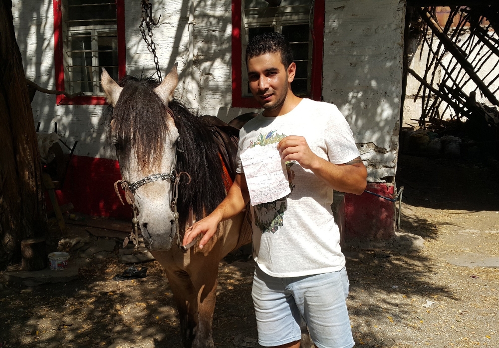 Yarış atına trafik cezası kesildi!