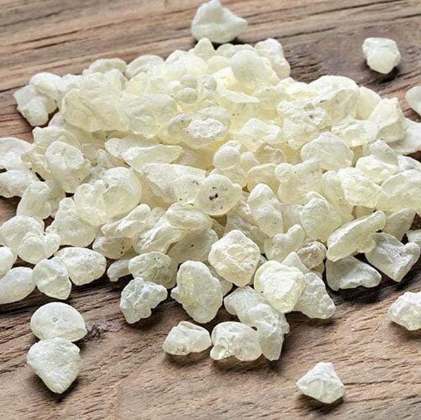 Damla sakızının kilosu 1100 lira