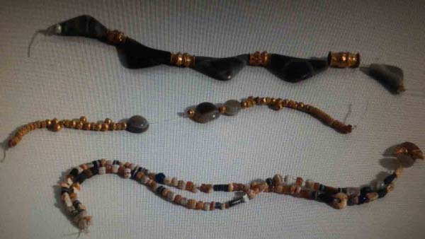 Muğla’da ele geçirildi, değeri 1 milyon TL