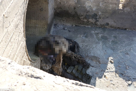 Öldürülen DEAŞ'lı teröristlerin cesetlerini hayvanlar parçalıyor