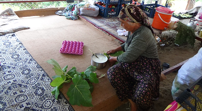 Anadolu'nun unutulmuş tadı: Teleme yoğurdu