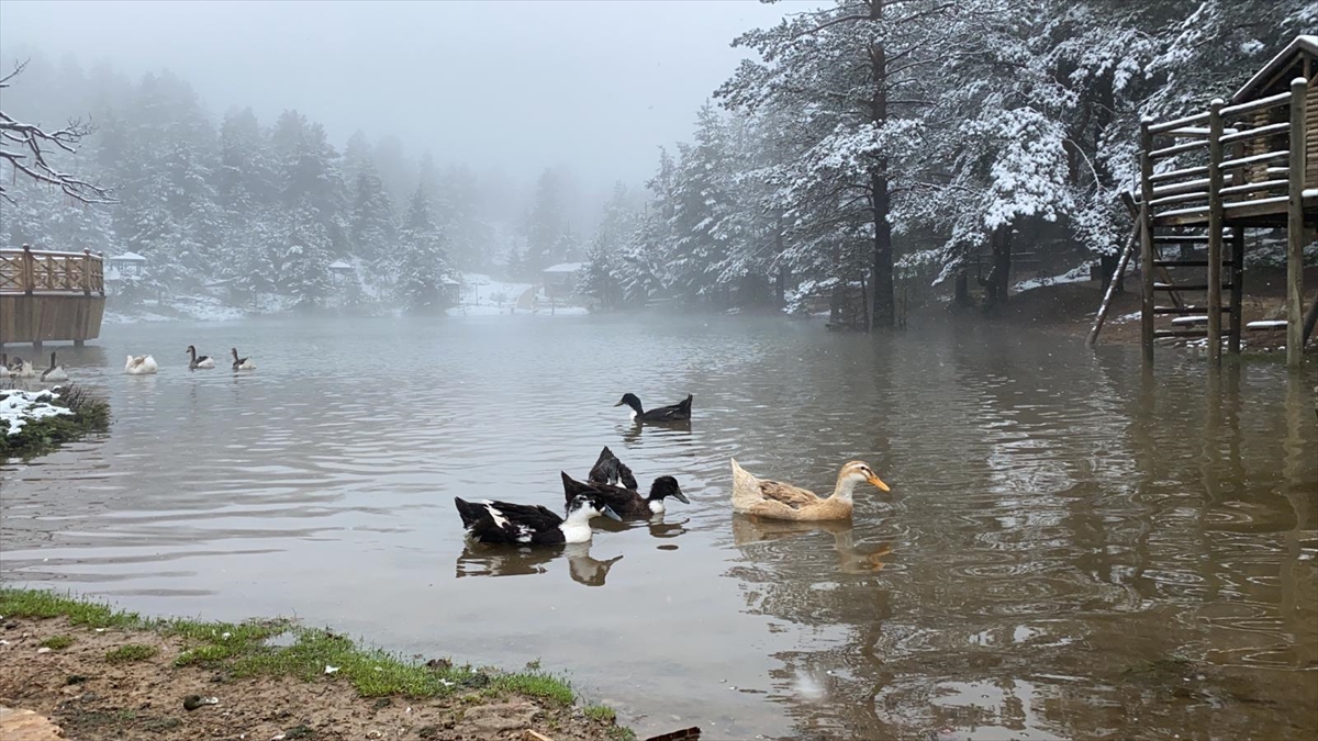 Gümüşhane, Ordu ve Giresun'un yüksek kesimleri beyaza büründü