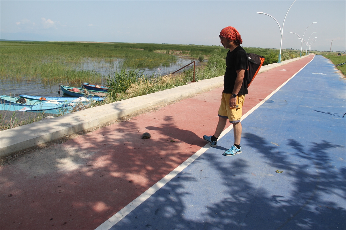 'Beton set' engelinden göle geçemeyen kaplumbağalara vatandaşlar yardım ediyor