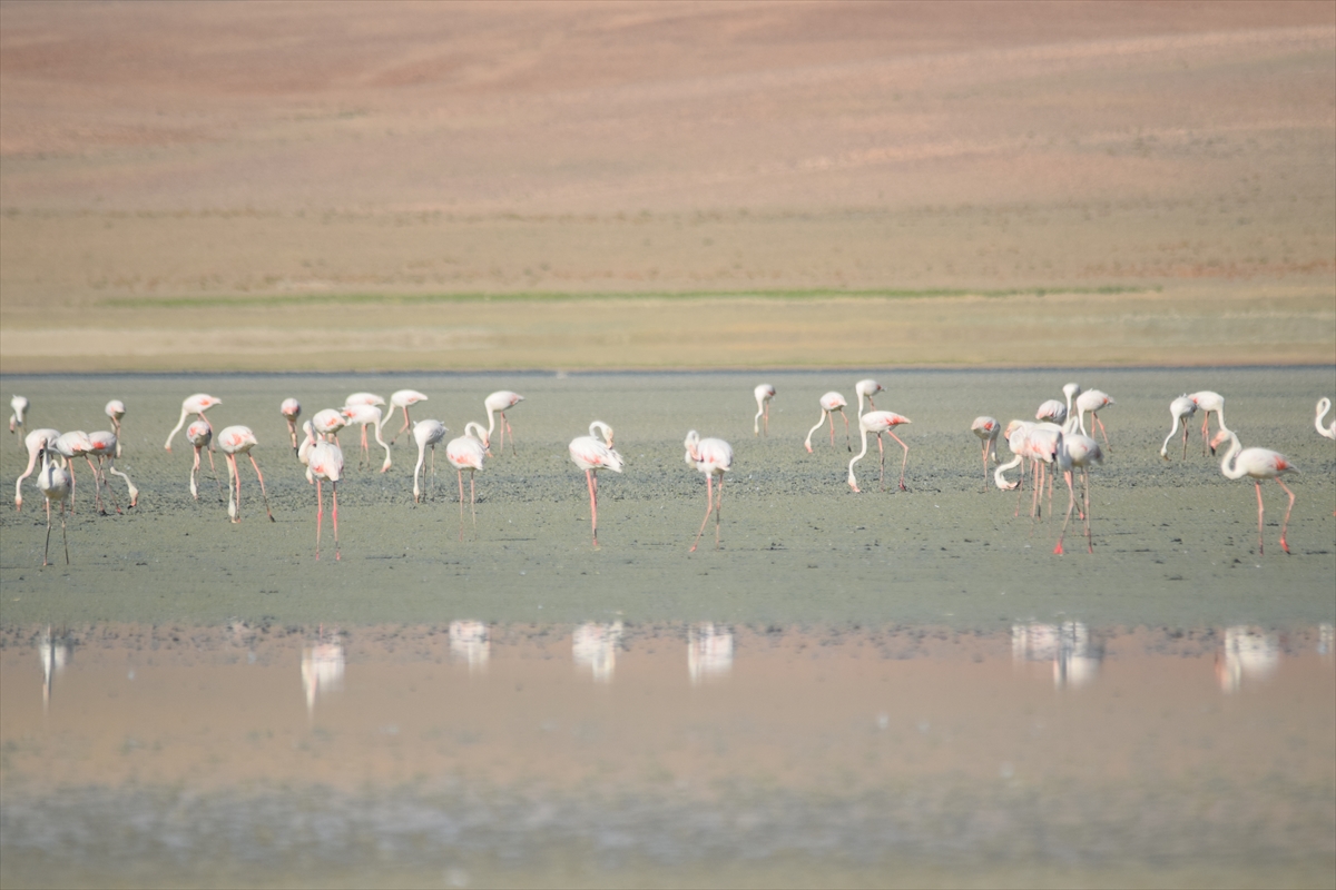 Konya'daki Düden Gölü kurudu