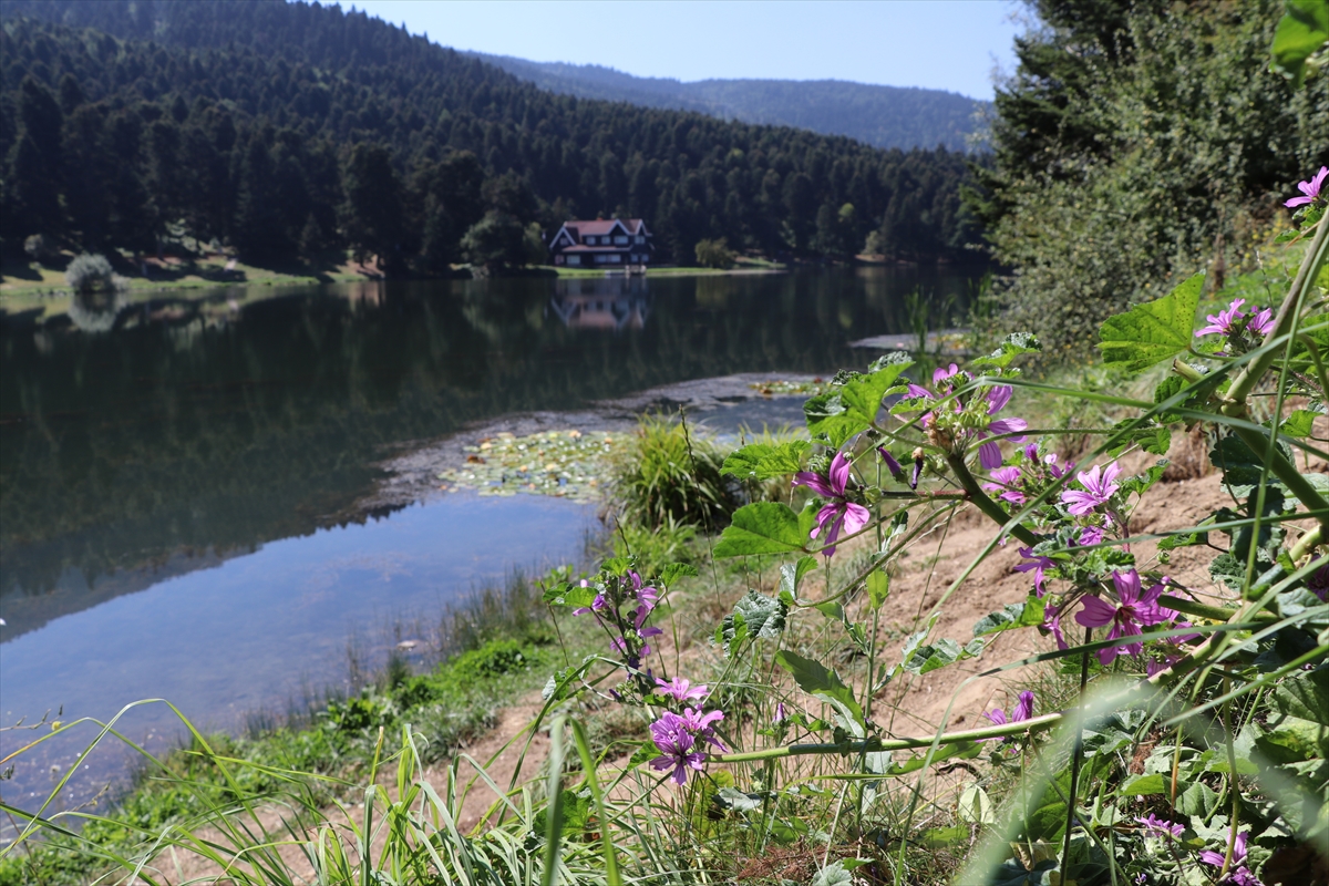 Bolu’nun doğa harikalarına turist akını