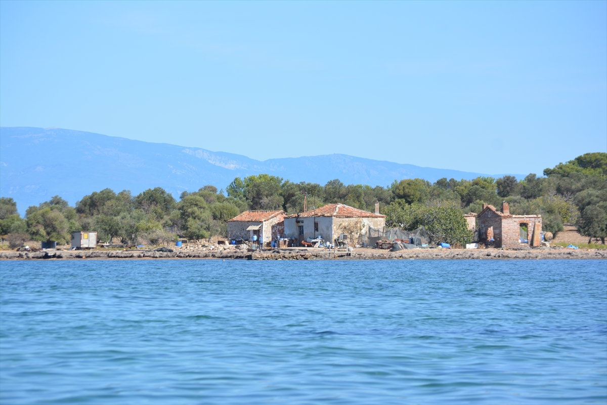 Onlar Çiçek Adası'nın tek sakinleri! 17 yıldır izole bir hayat sürüyorlar