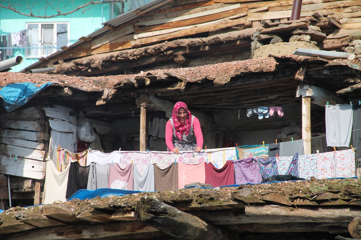 Tam 300 yıllık! Nepal değil Manisa