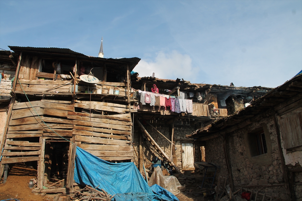 Tam 300 yıllık! Nepal değil Manisa