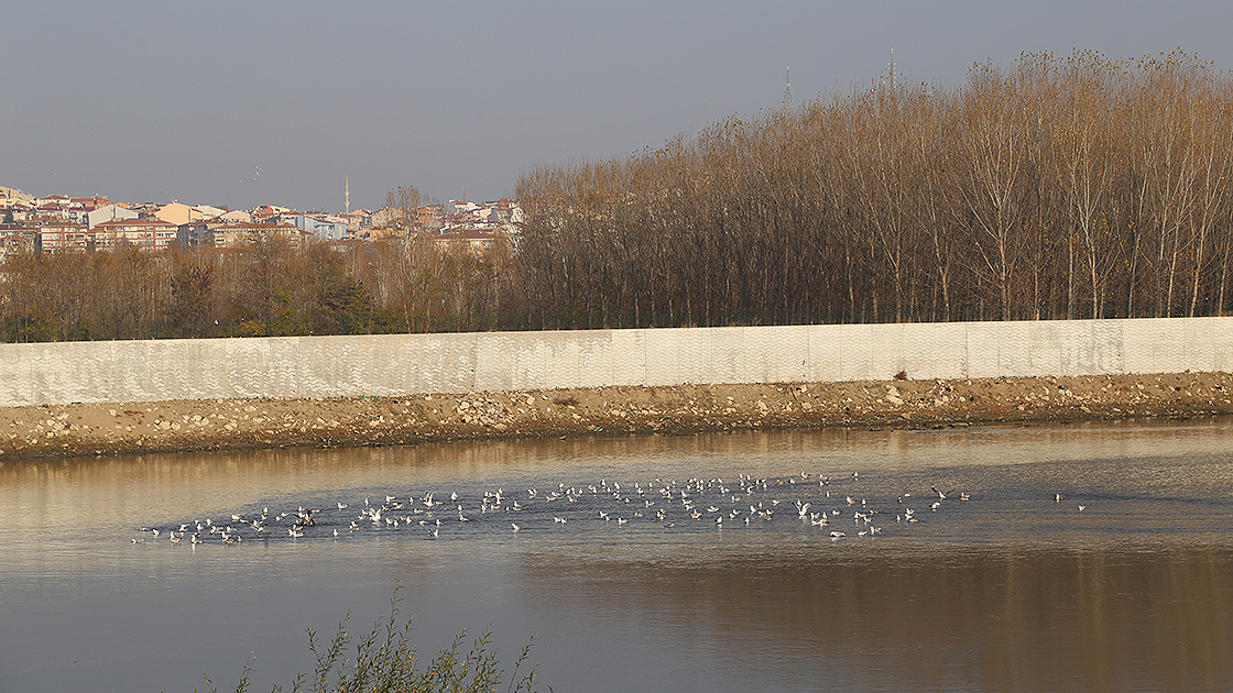 Edirne'de yağışlar kasım ayında normale göre yüzde 96 azaldı