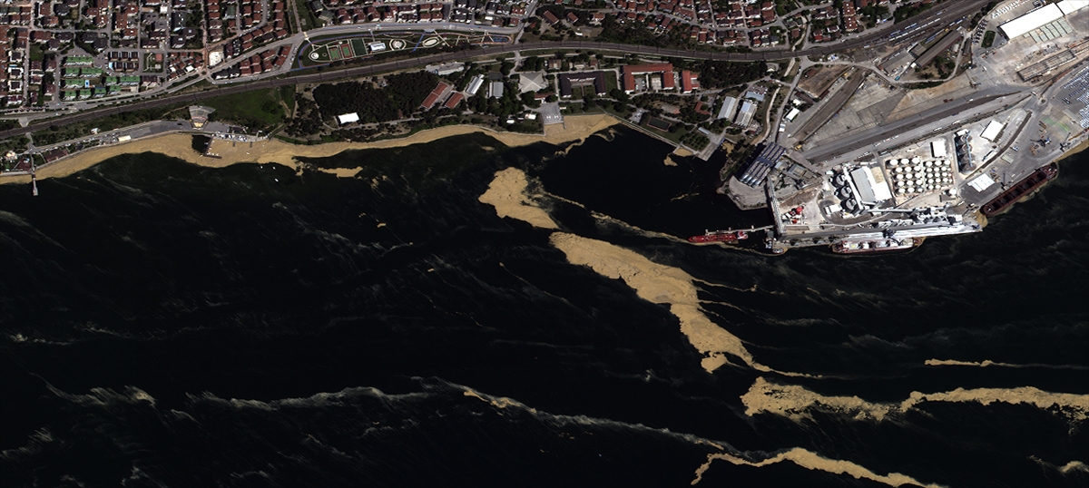 Müsilaj uzaydan böyle görüntülendi! 10 günde 3'e katlandı